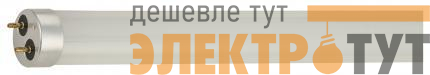 Лампа светодиодная Elementary T8 24Вт 6500К G13 2000лм 1200мм стекло Gauss 93034 изображение