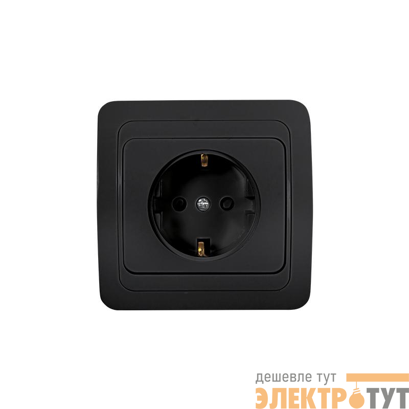 Розетка 1-м с заземл. CLASSICO 2028B черн. IN HOME 4690612061108