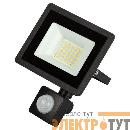 Прожектор светодиодный уличный LPR-042-2-65K-030 30Вт 6500К 2400лм IP44 регулируемый ИК датчик Эра Б0064234
