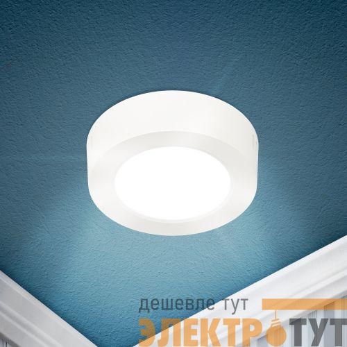 Светильник светодиодный LED 19-12-6K 12Вт 6500К накладной круглый ЭРА Б0057448