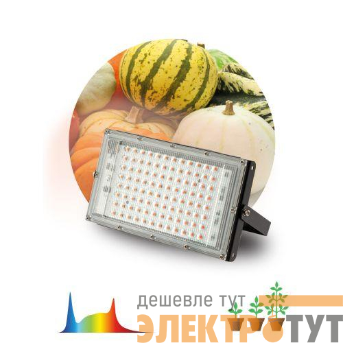Прожектор светодиодный FITO-80W-Ra90-LED-Y 80Вт для растений полноспектральный IP65 Эра Б0057284