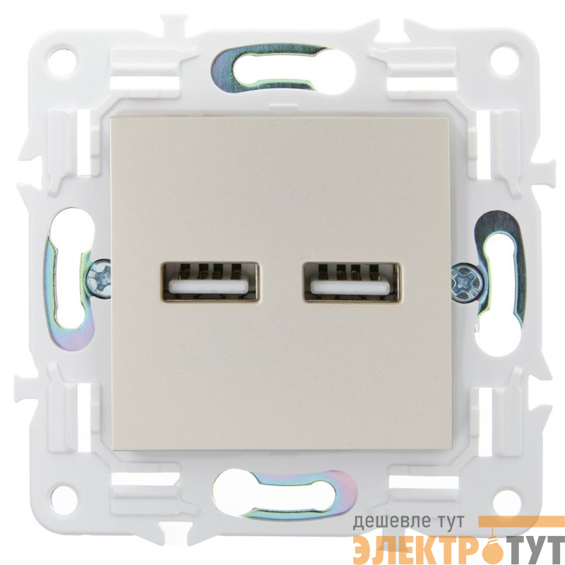 Розетка USB A+A 3.1А SKANDY SK-R15Sh шампань IEK SK-U21-D31-K37