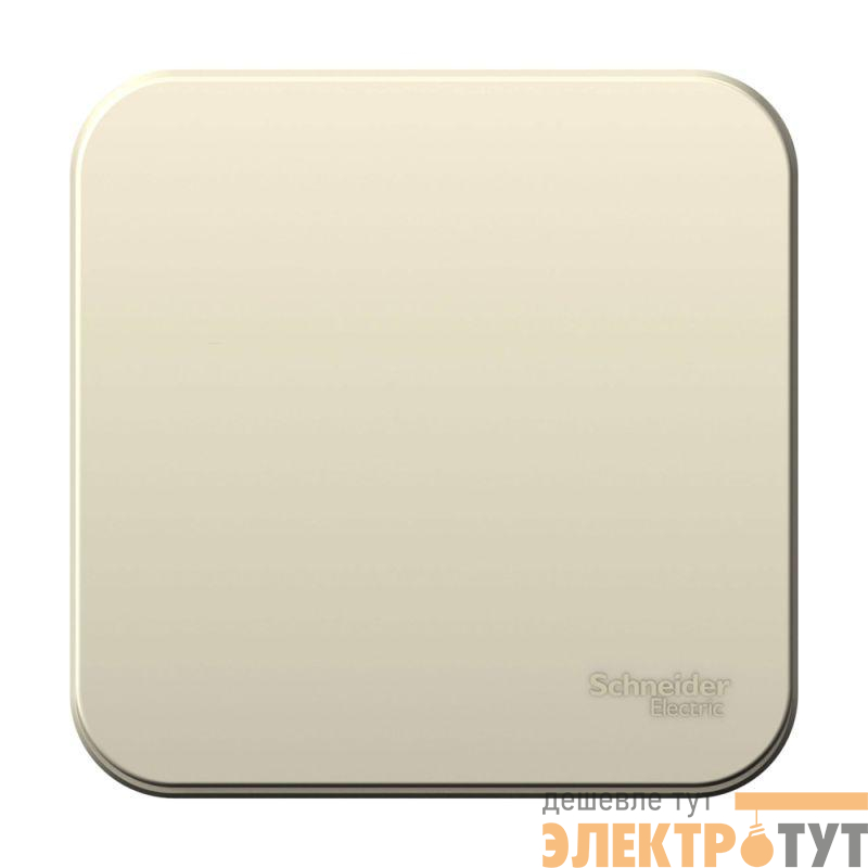 Выключатель 1-кл. ОП Blanca 10А IP20 (сх. 1) 250В с изолир. пластиной молочн. SE BLNVA101012