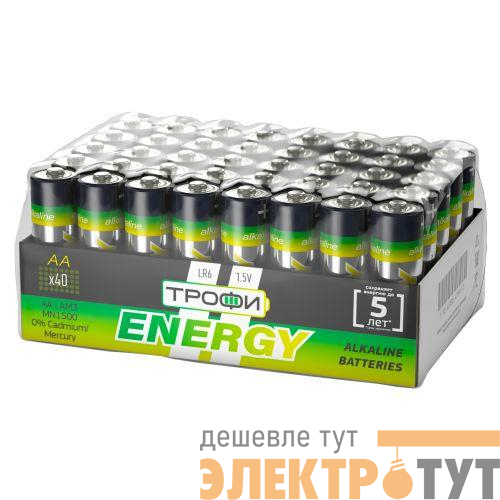 Элемент питания алкалиновый AA/LR6 LR6-40 bulk Eco (уп.40шт) Трофи Б0027815