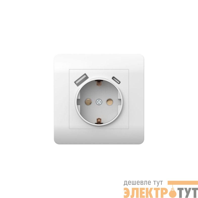 Розетка NEW3-E 16А с заземл. защ. шторки с 2-мя заряд. устройствами USB A+C 5В/2.1А бел. CHINT 431552