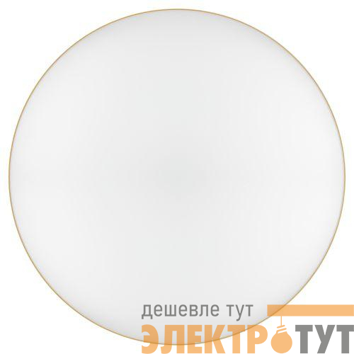 Светильник светодиодный Relict 48 Pult SPB-6-60-RC MG 60Вт 3000-6500К потолочный с ДУ золото ЭРА Б0059498