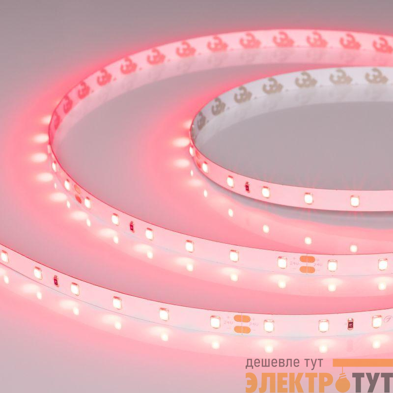 Лента светодиодная RT-A60-8mm 24В Ruby 4.8Вт/м IP20 (уп.5м) Arlight 055374
