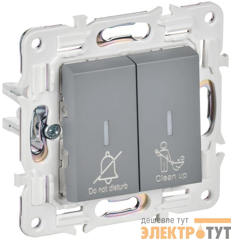 Выключатель 2-кл. SKANDY 10А SK-V16Gr для отелей с индикацией сер. IEK SK-V20-2-10-K03