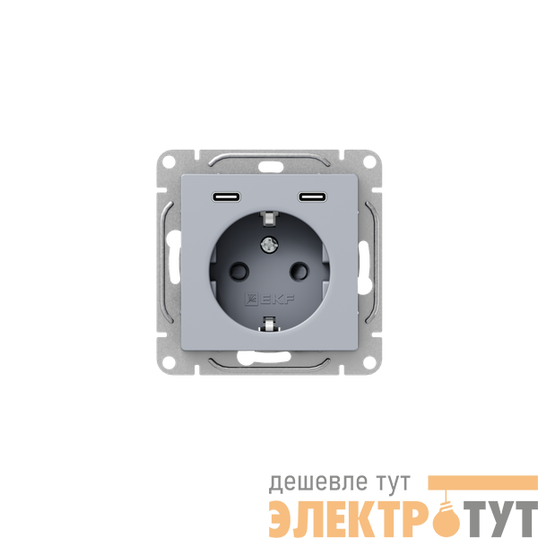 Розетка СП Эпика 16А с 2 USB-C с заземл. защ. шторки механизм алюм. EKF UP1-SOA-111-2USBC