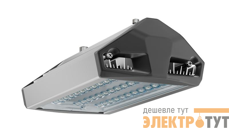 Светильник светодиодный ДКУ 50 750 ШБ ЕСАУЛ IP66/67 уличный Технологии света УТ000020649