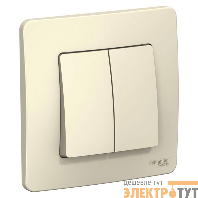 Выключатель 2-кл. СП Blanca 10А IP20 (сх. 5) 250В молочн. SE BLNVS010502