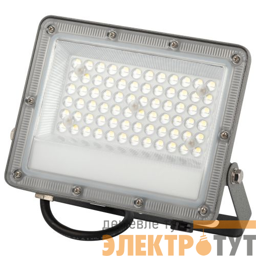 Прожектор светодиодный LPR-063-0-65K-050 50Вт IP65 6500К 5000лм Г 90град. сер. Проектный Эра Б0067705
