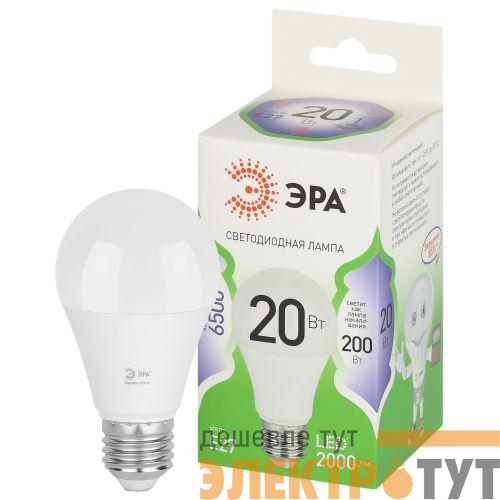 Лампа светодиодная GREEN LINE A60-20W-865-E27 GL 20Вт груша 6500К свет холод. E27 Эра Б0067102
