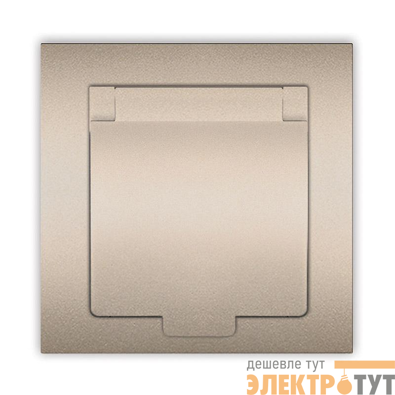 Розетка 1-м СП Афина 16А IP20 с заземл. с крышкой в сборе шампань Universal A0029-Br