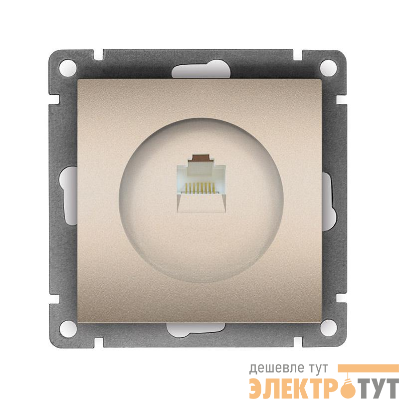 Розетка компьютерная 1-м СП Афина RJ45 кат.5E механизм шампань Universal A0051-Br