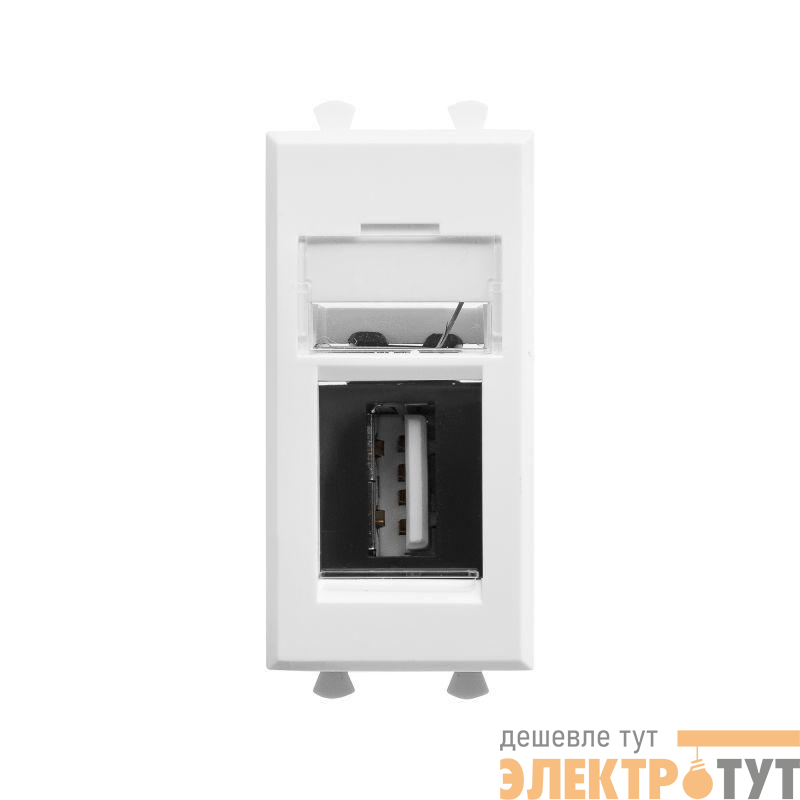 Розетка USB 1мод. Avanti "Белое облако" тип А-А модульная DKC 4400401