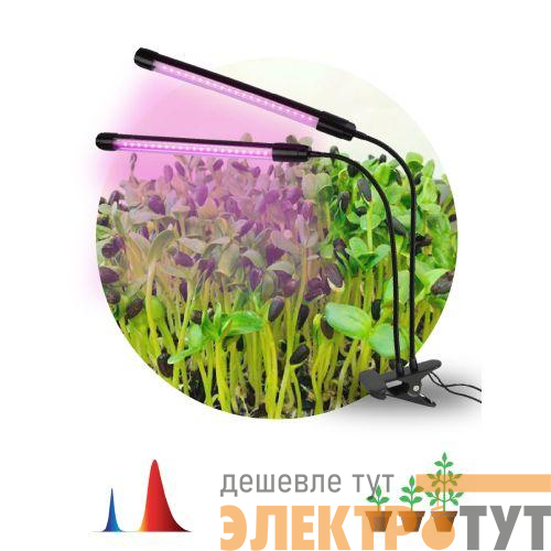 Светильник светодиодный FITO-20W-АLED-N 12Вт для растений красн./син. спектр на прищепке черн. Эра Б0053059