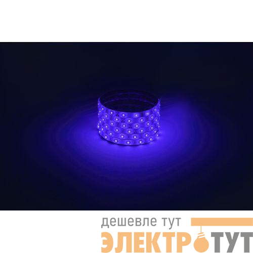 Лента светодиодная LS2835 -4.8-60-12-B-IP65-1 year-5m син. (уп.5м) Эра Б0059900