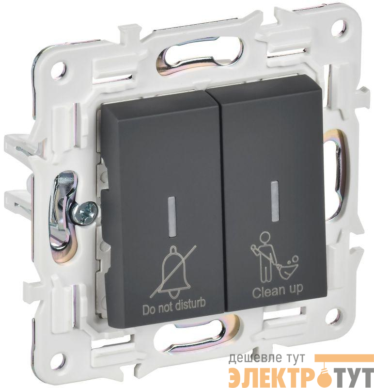 Выключатель 2-кл. SKANDY 10А SK-V16G для отелей с индикацией графит IEK SK-V20-2-10-K53