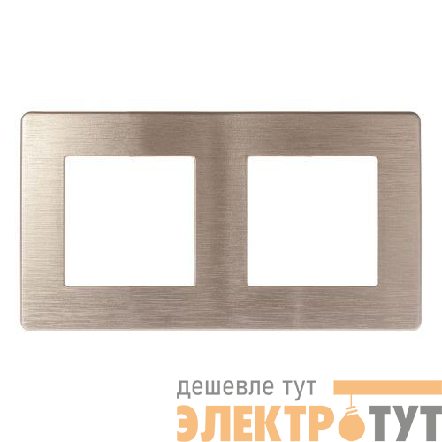 Рамка 2-м 12-5102-04 сатин шампань Эра Б0052512