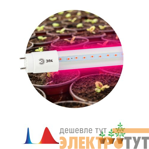 Лампа светодиодная FITO-9W-RB-Т8-G13-NL 9Вт T8 линейная 48LED 2835 IP20 35000ч для растений красн./син. спектр стекло Эра Б0042986