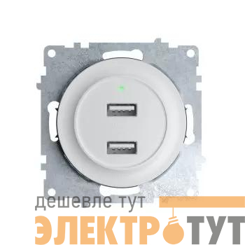 Розетка USB 2-м СП Florence 16А IP20 с подсветкой механизм бел. (1E10351300) OneKeyElectro 2260089