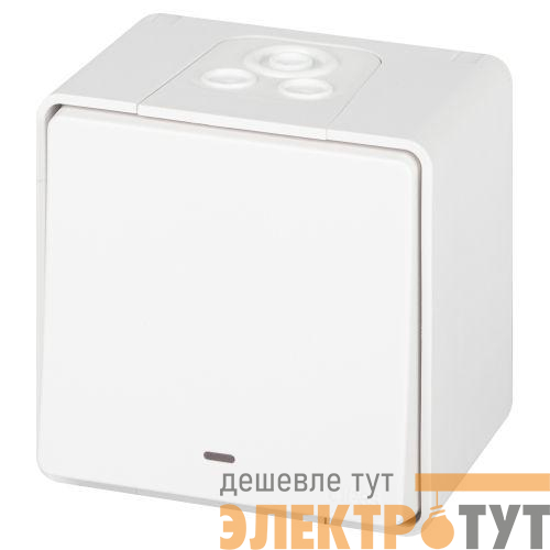 Переключатель Эксперт 11-1507-01 с подсветкой IP55 10АХ-250В ОУ бел. Эра Б0063255