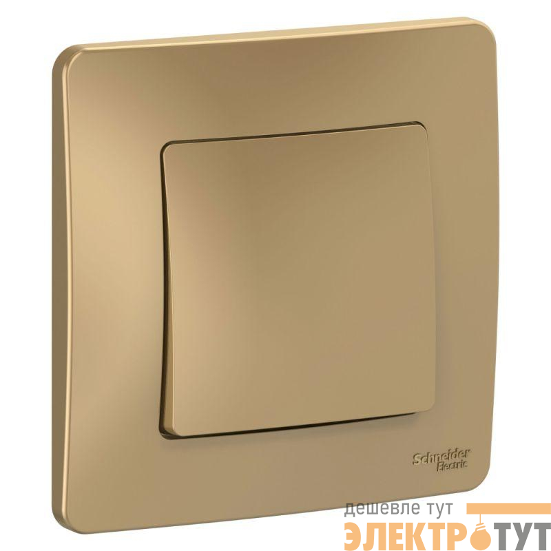 Выключатель 1-кл. СП Blanca 10А IP20 (сх. 1) 250В титан SE BLNVS010104