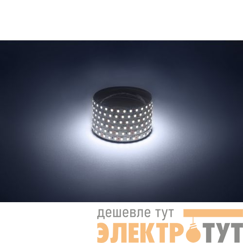 Лента светодиодная LS2835-9.6-120-12-6500K-IP20-1 year-5m (уп.5м) ЭРА Б0035595