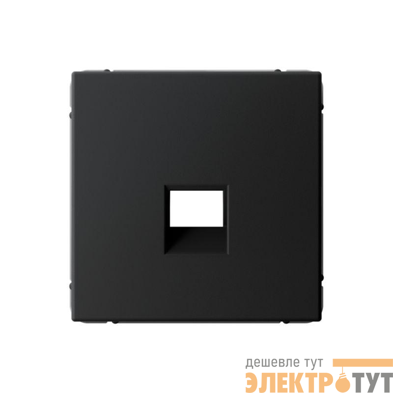 Накладка информационная ArtGallery типа Keystone карбон SE GAL001084