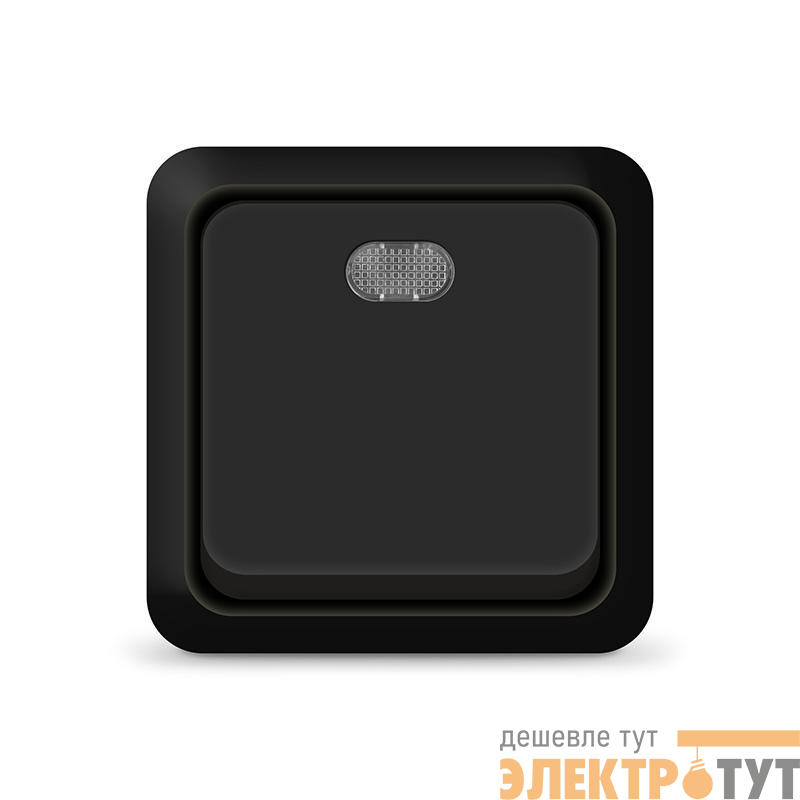 Выключатель 1-кл. ОП Олимп 10А IP20 с подсветкой черн. Universal 2212