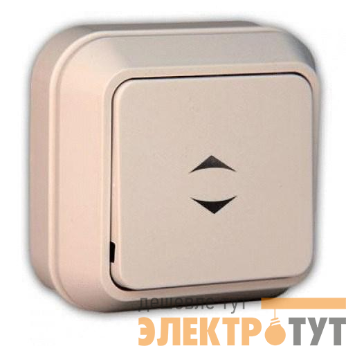 Переключатель проходной 1-кл. ОП 10А IP20 крем. Makel 45205