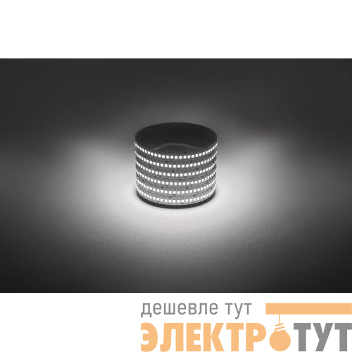 Лента светодиодная LS2835 -19.2-240-12-4000K-IP20-1 year-5m нейтр. бел. (уп.5м) Эра Б0059907
