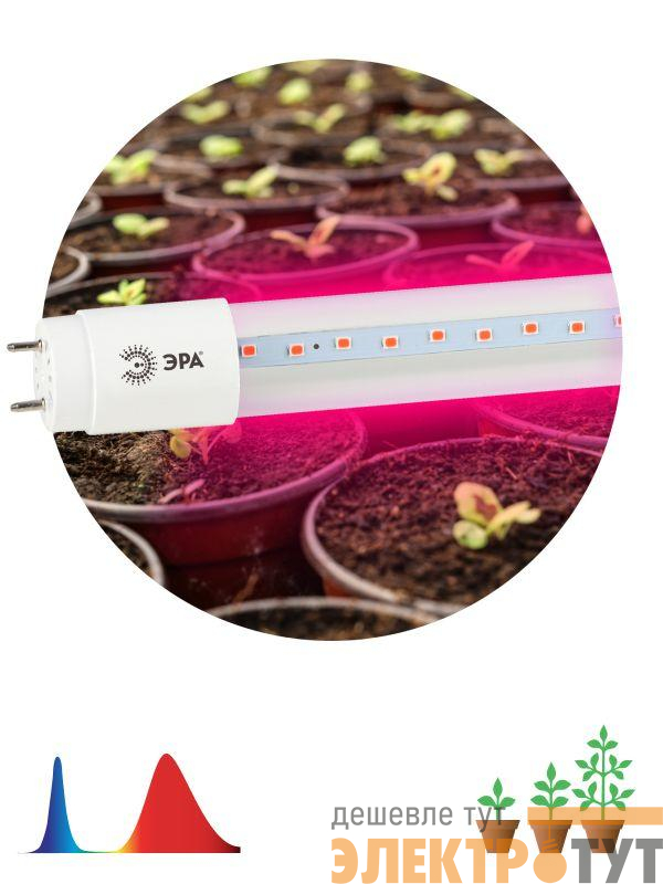 Лампа светодиодная FITO-18W-RB-Т8-G13-NL 18Вт T8 линейная 96LED 2835 IP20 35000ч для растений красн./син. спектр стекло Эра Б0042990