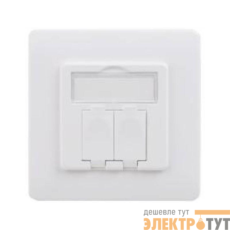 Адаптер настенный для модулей Keystone (для модулей форм-фактора S19) DKC RNW1W