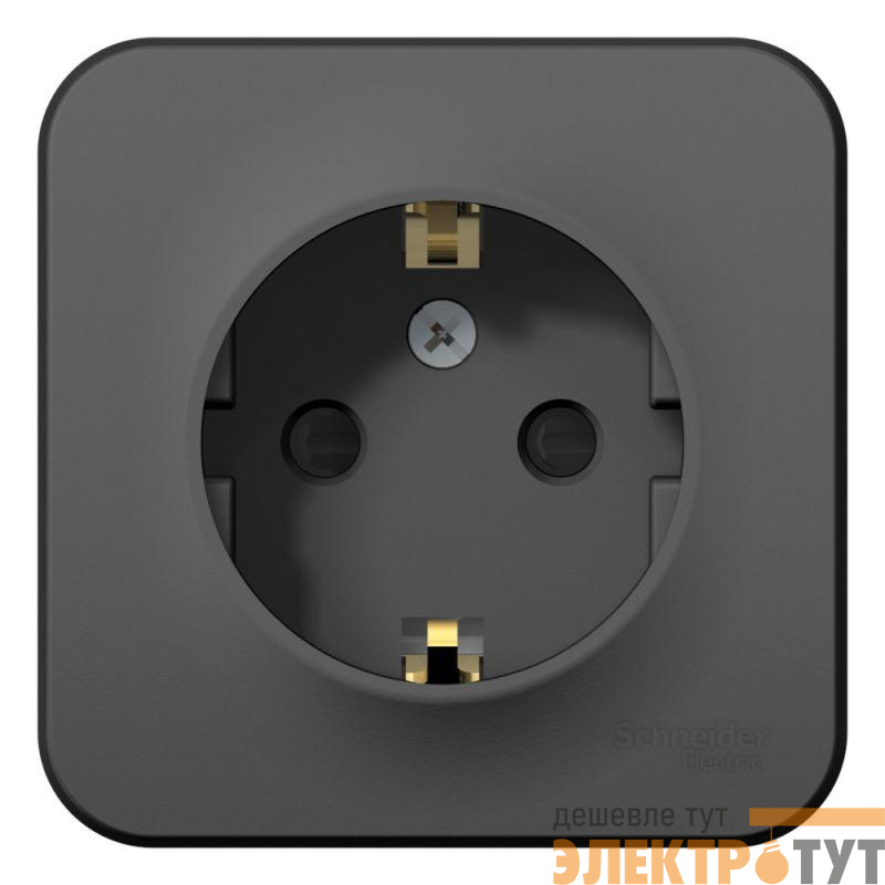 Розетка 1-м ОП Blanca 16А IP20 250В с заземл. защ. шторки антрацит SE BLNRA011106