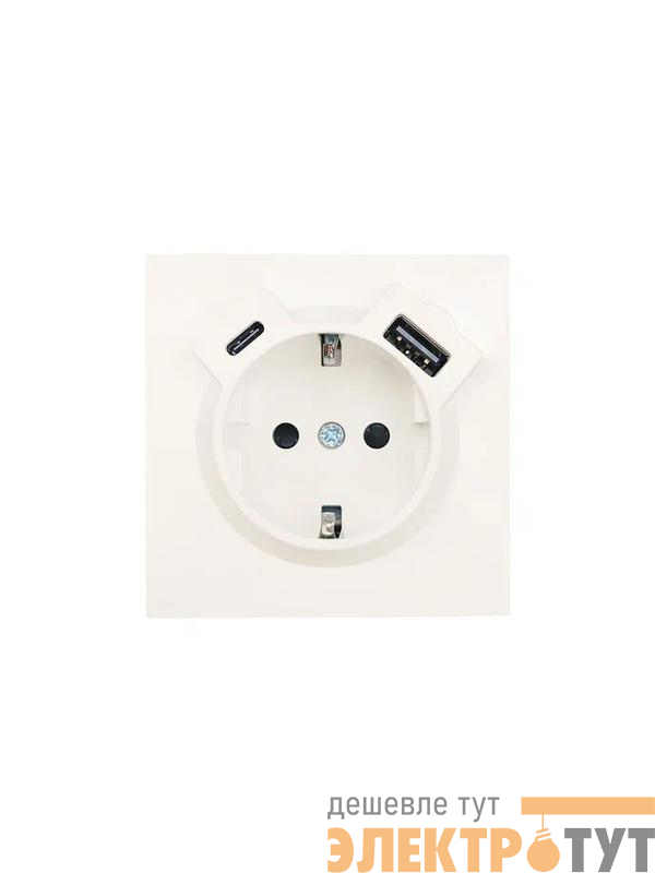 Розетка 1-м СП ZIMA IP20 Type-C + USB с заземл. механизм сл. кость LEZARD 704-9088-181TC
