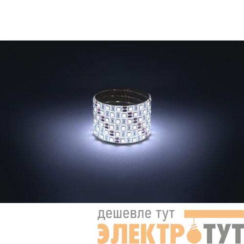 Лента светодиодная LS5050 -14.4-60-12-6500K-IP65-1 year-5m холод. бел. (уп.5м) Эра Б0059914