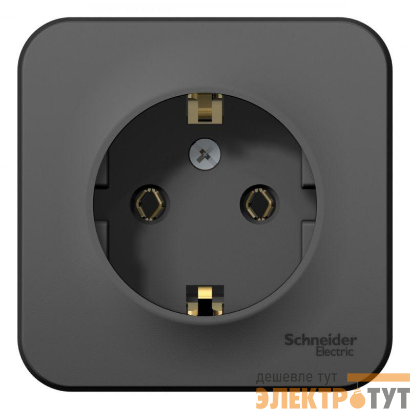 Розетка 1-м ОП Blanca 16А IP20 250В с заземл. без защ. шторок антрацит SE BLNRA010106