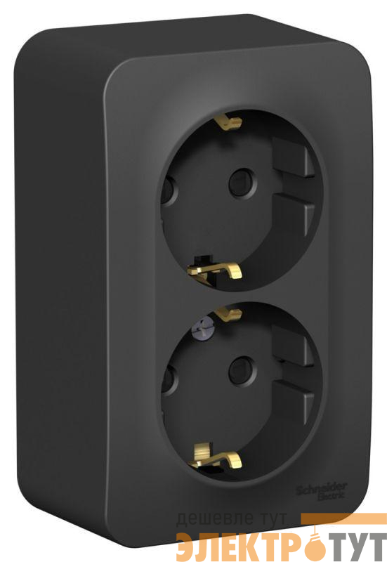 Розетка 2-м ОП Blanca 16А IP20 250В с заземл. защ. шторки антрацит SE BLNRA011206