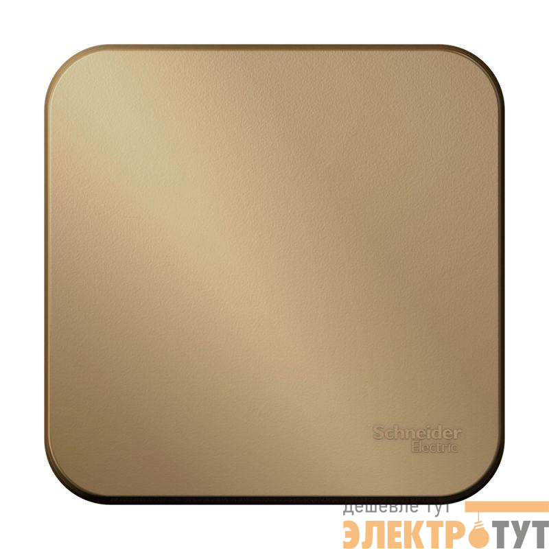 Выключатель 1-кл. ОП Blanca 10А IP20 (сх. 1) с самовозвратом с изолир. пластиной титан SchE BLNCA101014