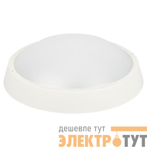 Светильник светодиодный SPB-203-0-65К-024 24Вт 6500К IP65 2040лм ЖКХ D320мм КРУГ бел. Эра Б0062684