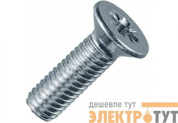 Винт с потайной головкой и крестообраз. шлицем 10х30 DIN 965 TDZ EKF wk10x30-TDZ