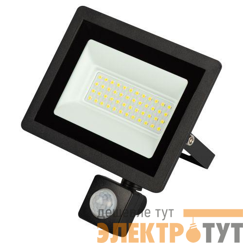 Прожектор светодиодный уличный LPR-042-2-65K-050 50Вт 6500К 4000лм IP44 регулируемый ИК датчик Эра Б0064292