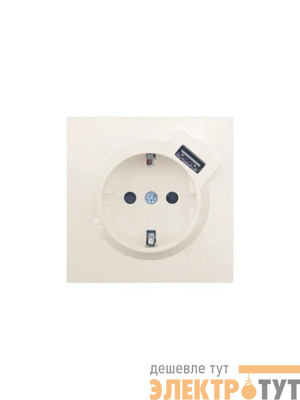 Розетка 1-м СП ZIMA IP20 + USB с заземл. механизм сл. кость LEZARD 704-9088-181