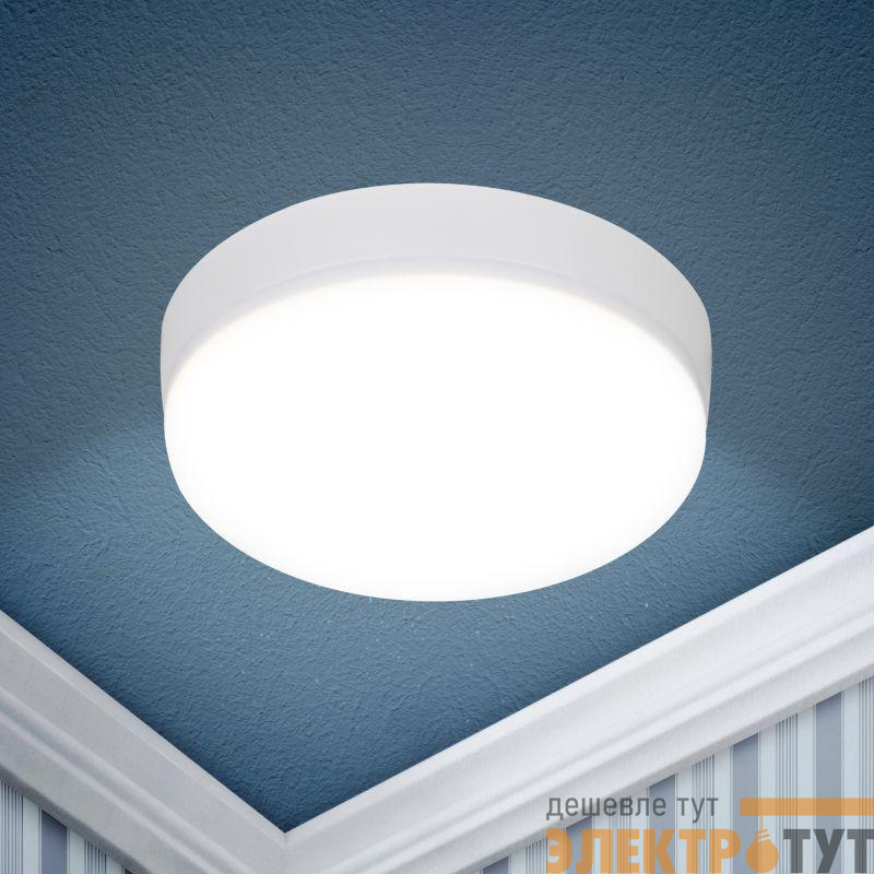 Светильник светодиодный LED 15-36-4K 36Вт 4000К накладной круглый Эра Б0054336
