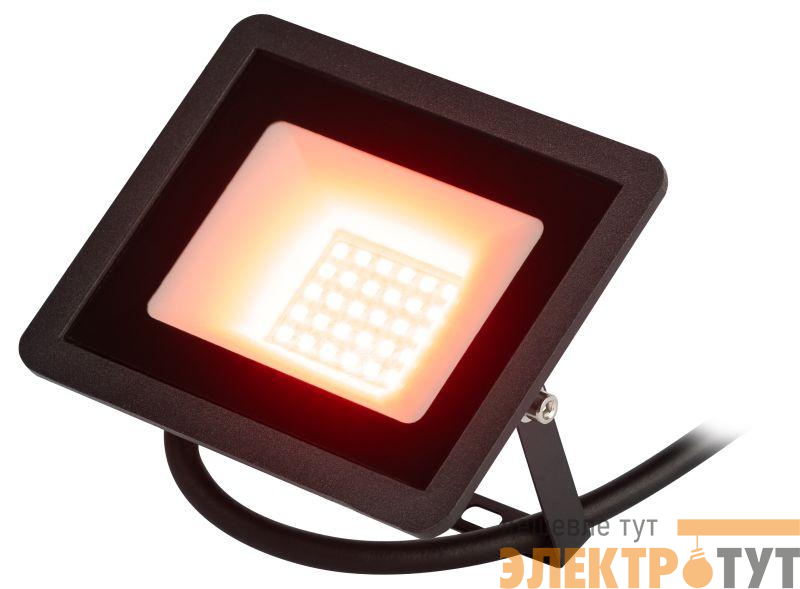 Прожектор светодиодный уличный LPR-025-RED-030 30Вт красн. свечение 600лм IP65 Эра Б0064721
