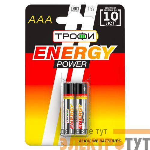 Элемент питания алкалиновый AAA/LR03 LR03-2BL (блист.2шт) Трофи C0034929