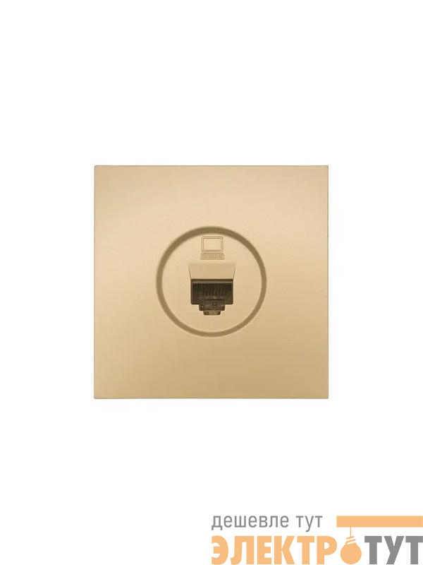 Розетка компьютерная 1-мест. СП ZIMA IP20 зол. LEZARD 704-3688-139