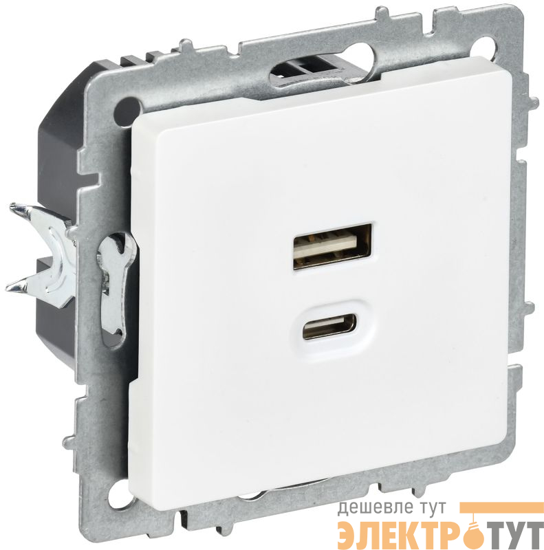 Розетка СП BRITE РЮ11-2-БрАБ USB A+C 45Вт высокоскор. заряд. арктич. бел. IEK BR-U22-045-K91